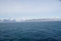 
DSC00009